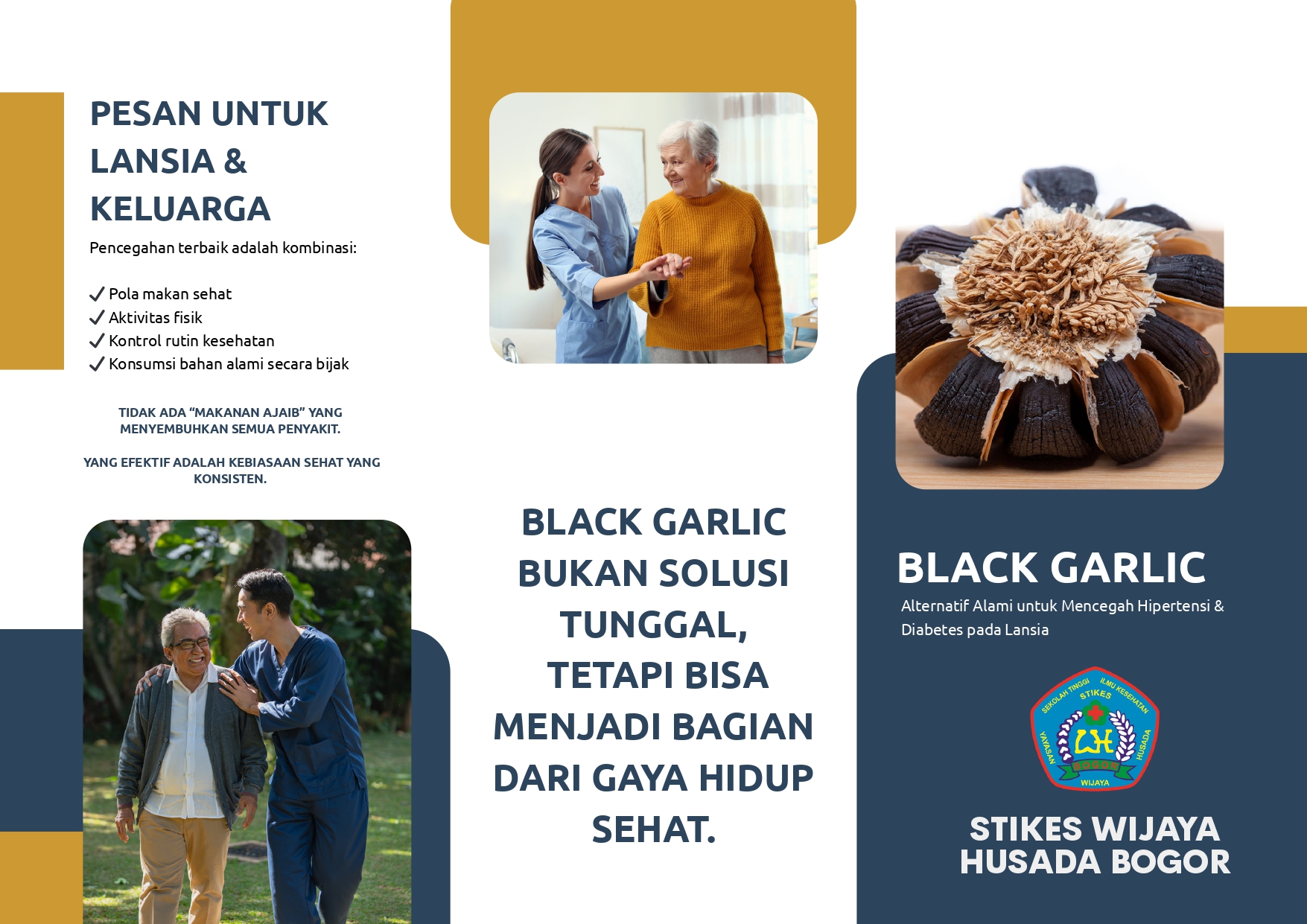Leaflet Black Garlic