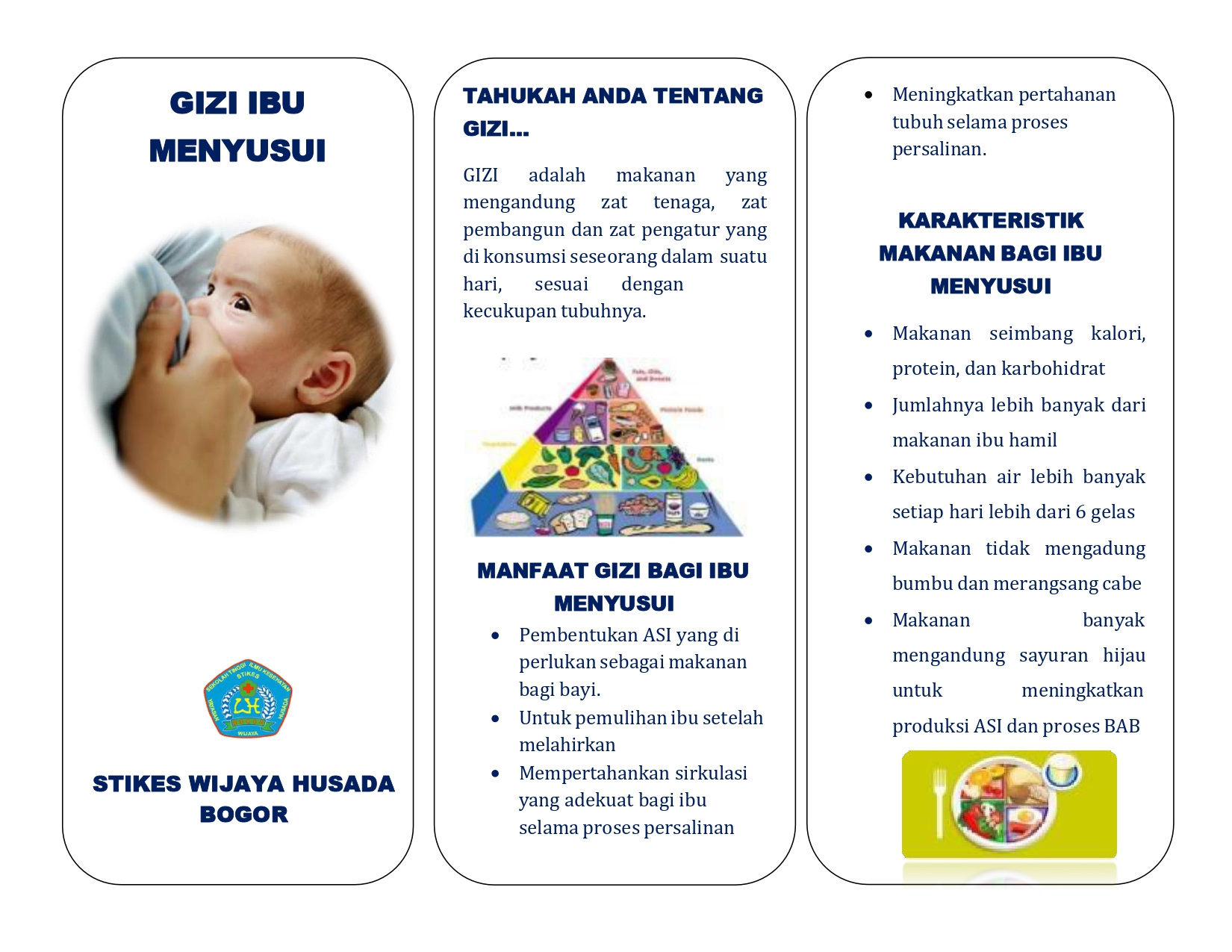 LEAFLET GIZI IBU MENYUSUI
