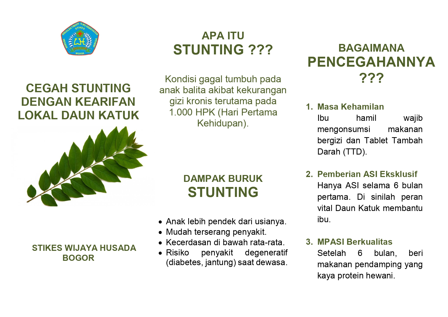 LEAFLET PENCEGAHAN STUNTING DENGAN DAUN KATUK